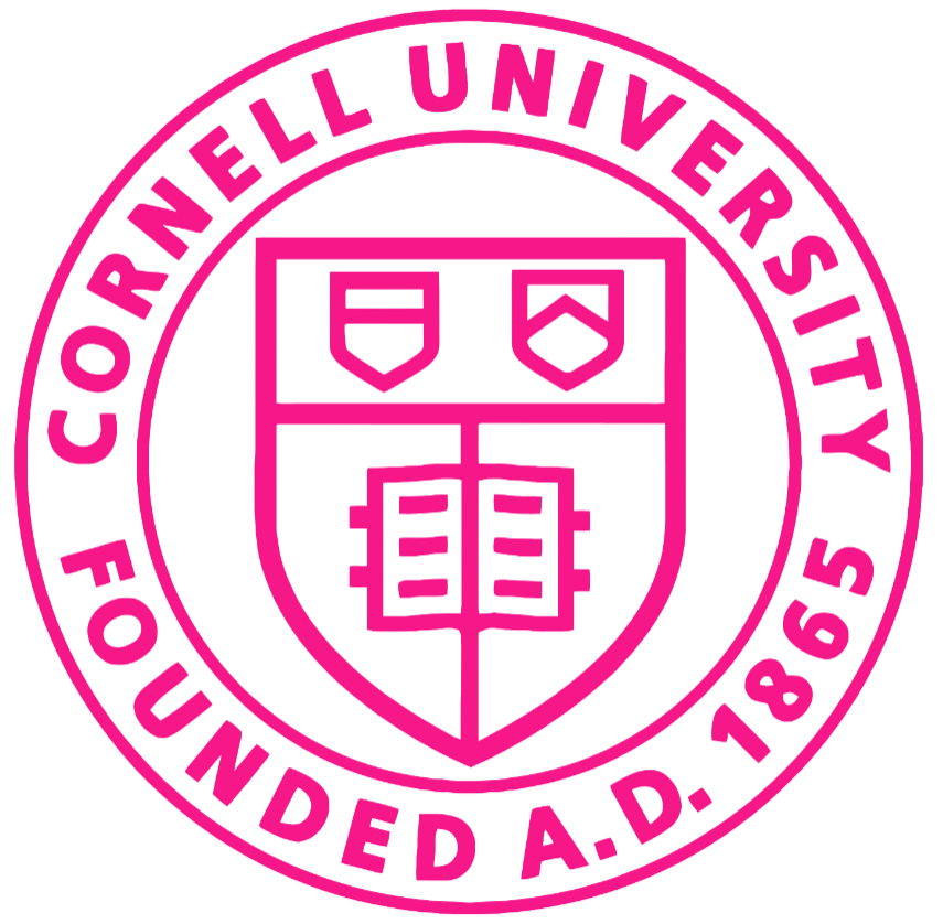 Cornell Big Red Hot Pink Crest Logo Premium DieCut Vinyl Decal PICK SIZE