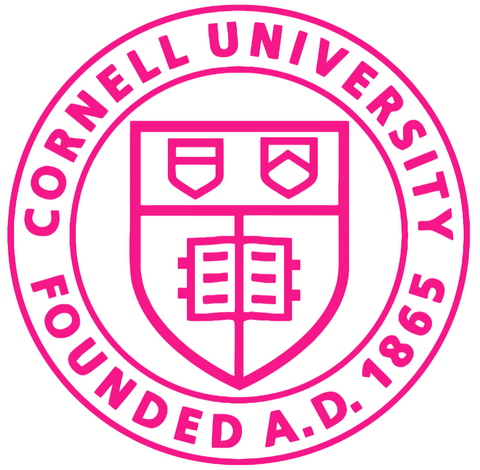 Cornell Big Red Hot Pink Crest Logo Premium DieCut Vinyl Decal PICK SIZE