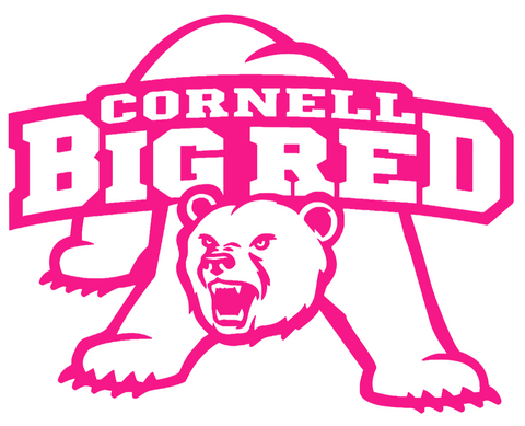 Cornell Big Red Hot Pink Retro Throwback Logo Premium DieCut Vinyl Decal PICK SIZE