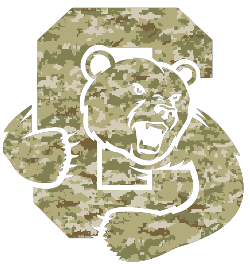 Cornell Big Red Team Logo Salute to Service Camouflage Camo Vinyl Decal PICK SIZE