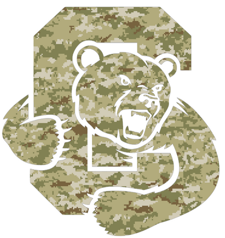 Cornell Big Red Team Logo Salute to Service Camouflage Camo Vinyl Decal PICK SIZE
