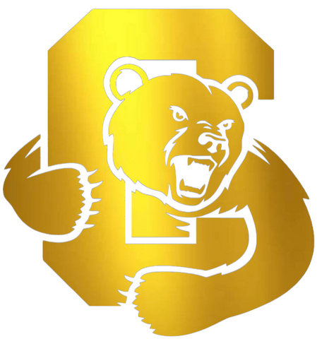 Cornell Big Red GOLD CHROME MIRROR Team Logo Premium DieCut Vinyl Decal PICK SIZE