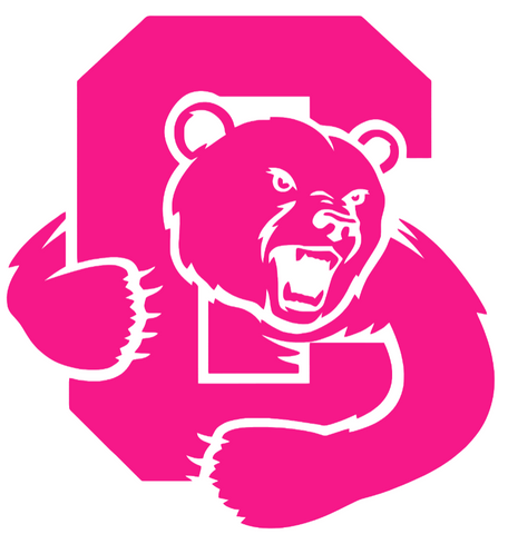Cornell Big Red Hot Pink Team Logo Premium DieCut Vinyl Decal PICK SIZE