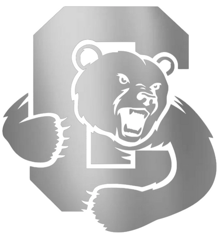 Cornell Big Red SILVER CHROME MIRROR Team Logo Premium DieCut Vinyl Decal PICK SIZE