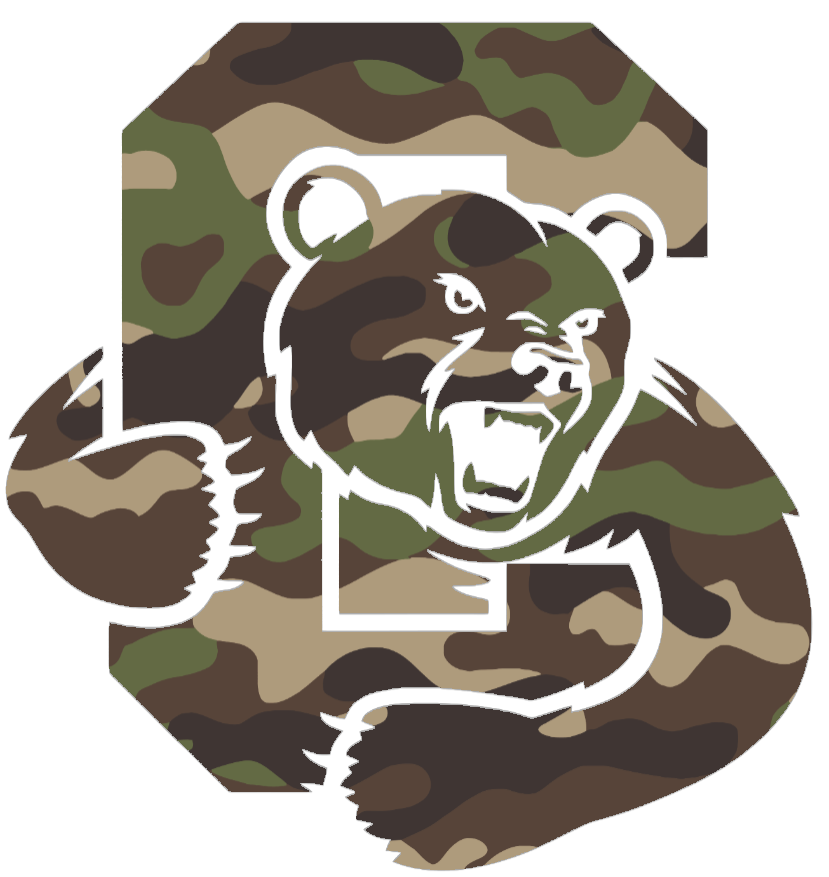 Cornell Big Red Woodland Camo Camouflage Team Logo Premium DieCut Vinyl Decal PICK SIZE