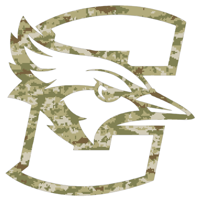 Creighton Blue Jays Team Logo Salute to Service Camouflage Camo Vinyl Decal PICK SIZE