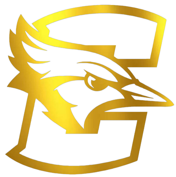 Creighton Blue Jays GOLD CHROME MIRROR Team Logo Premium DieCut Vinyl Decal PICK SIZE