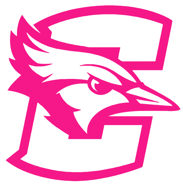 Creighton Blue Jays Hot Pink Team Logo Premium DieCut Vinyl Decal PICK SIZE