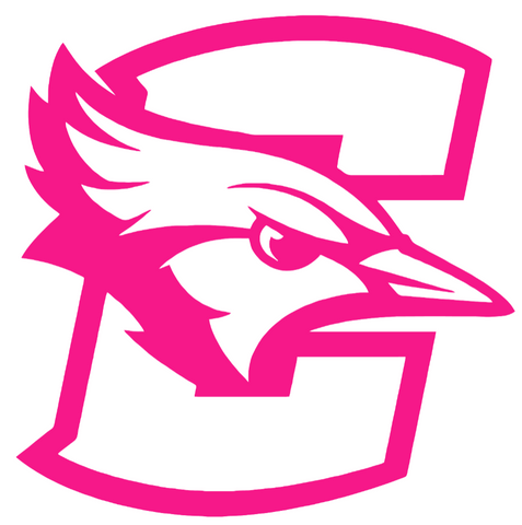 Creighton Blue Jays Hot Pink Team Logo Premium DieCut Vinyl Decal PICK SIZE
