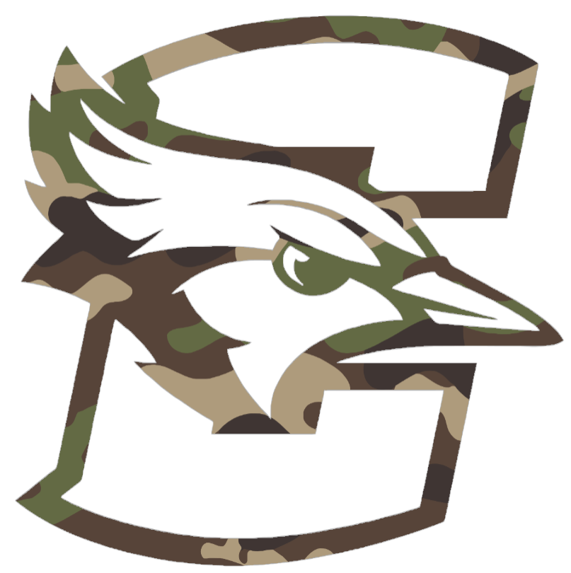 Creighton Blue Jays Woodland Camo Camouflage Team Logo Premium DieCut Vinyl Decal PICK SIZE