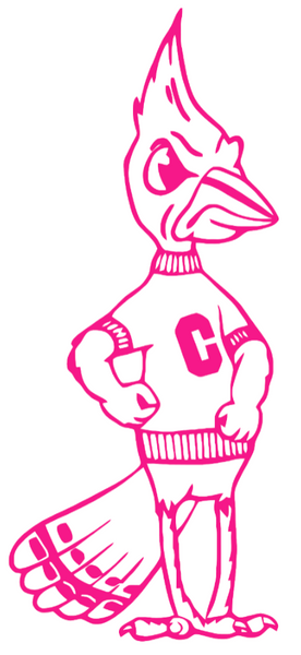 Creighton Blue Jays Hot Pink Retro Throwback Logo Premium DieCut Vinyl Decal PICK SIZE