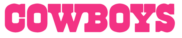 Dallas Cowboys Hot Pink Team Name Logo Premium DieCut Vinyl Decal PICK SIZE