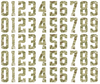 Dallas Stars Helmet Jersey Style Vinyl Number Decal Sheet Set of 50 #0-9 - Pick Color & Size