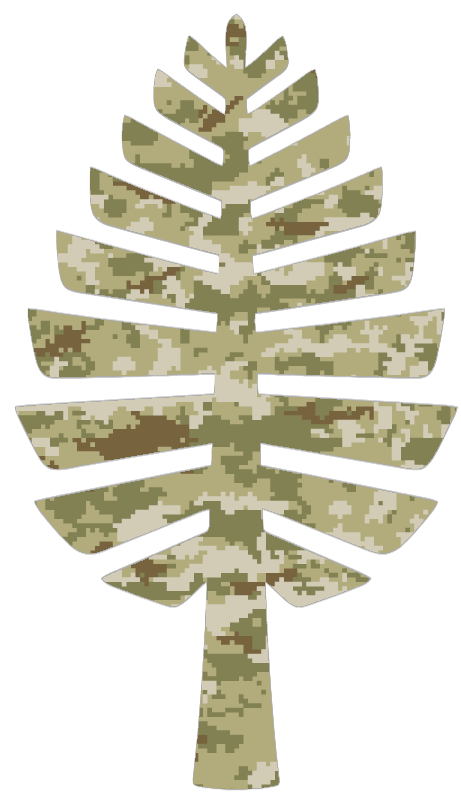 Dartmouth Big Green Alternate Logo Salute to Service Camouflage Camo Vinyl Decal PICK SIZE