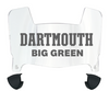 Dartmouth Big Green Mini Football Helmet Visor Shield w/ Clips - PICK VISOR & LOGO COLOR