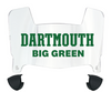Dartmouth Big Green Mini Football Helmet Visor Shield w/ Clips - PICK VISOR & LOGO COLOR