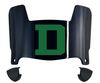 Dartmouth Big Green Mini Football Helmet Visor Shield w/ Clips - PICK VISOR & LOGO COLOR