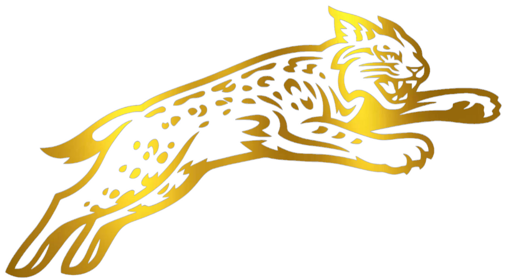 Davidson Wildcats GOLD CHROME MIRROR Alternate Logo Premium DieCut Vinyl Decal PICK SIZE