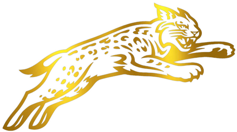 Davidson Wildcats GOLD CHROME MIRROR Alternate Logo Premium DieCut Vinyl Decal PICK SIZE