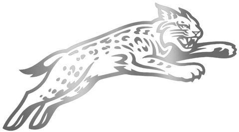 Davidson Wildcats SILVER CHROME MIRROR Alternate Logo Premium DieCut Vinyl Decal PICK SIZE