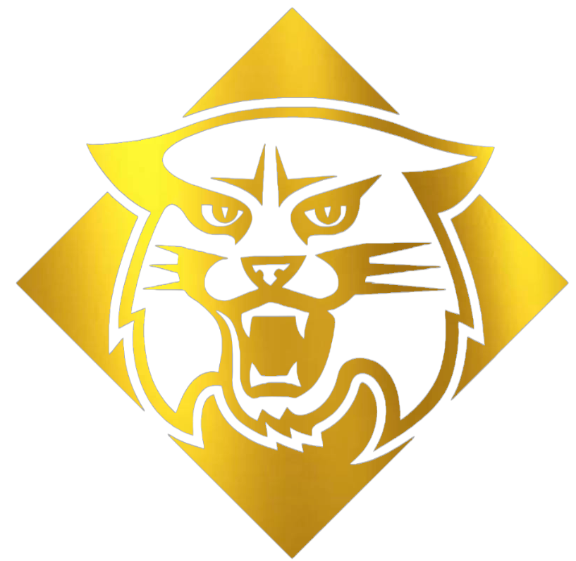 Davidson Wildcats GOLD CHROME MIRROR Retro Throwback Logo Premium DieCut Vinyl Decal PICK SIZE
