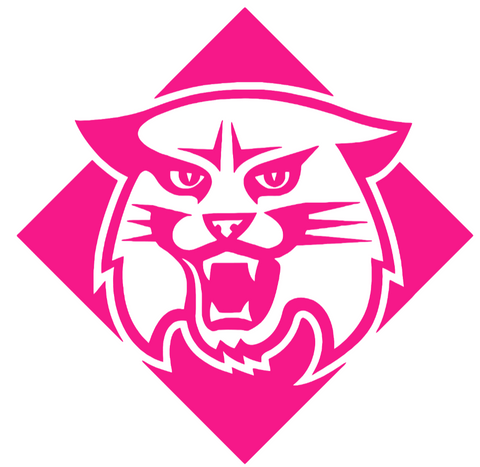 Davidson Wildcats Hot Pink Retro Throwback Logo Premium DieCut Vinyl Decal PICK SIZE
