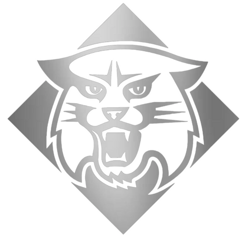 Davidson Wildcats SILVER CHROME MIRROR Retro Throwback Logo Premium DieCut Vinyl Decal PICK SIZE