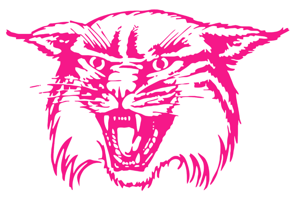 Davidson Wildcats Hot Pink Retro Throwback Logo Premium DieCut Vinyl Decal PICK SIZE