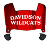 Davidson Wildcats Mini Football Helmet Visor Shield w/ Clips - PICK VISOR & LOGO COLOR