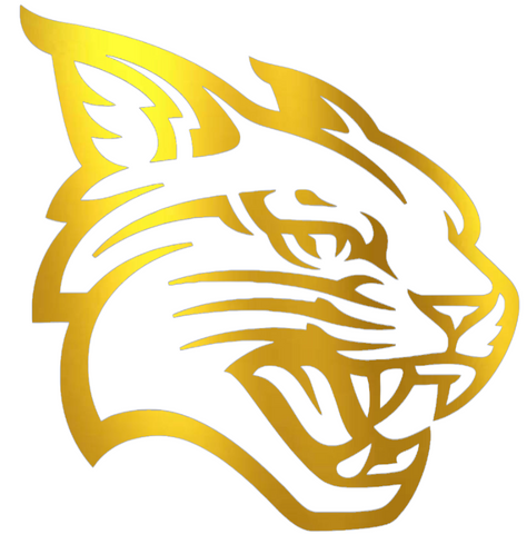 Davidson Wildcats GOLD CHROME MIRROR Team Logo Premium DieCut Vinyl Decal PICK SIZE