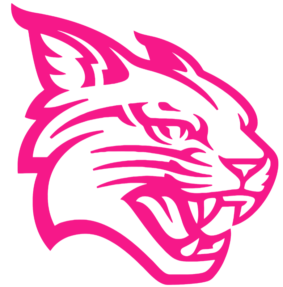 Davidson Wildcats Hot Pink Team Logo Premium DieCut Vinyl Decal PICK SIZE