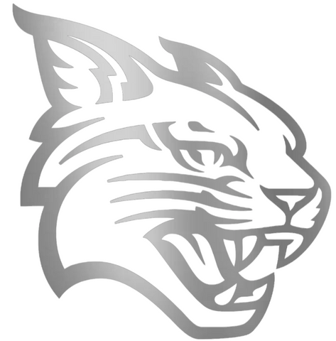 Davidson Wildcats SILVER CHROME MIRROR Team Logo Premium DieCut Vinyl Decal PICK SIZE