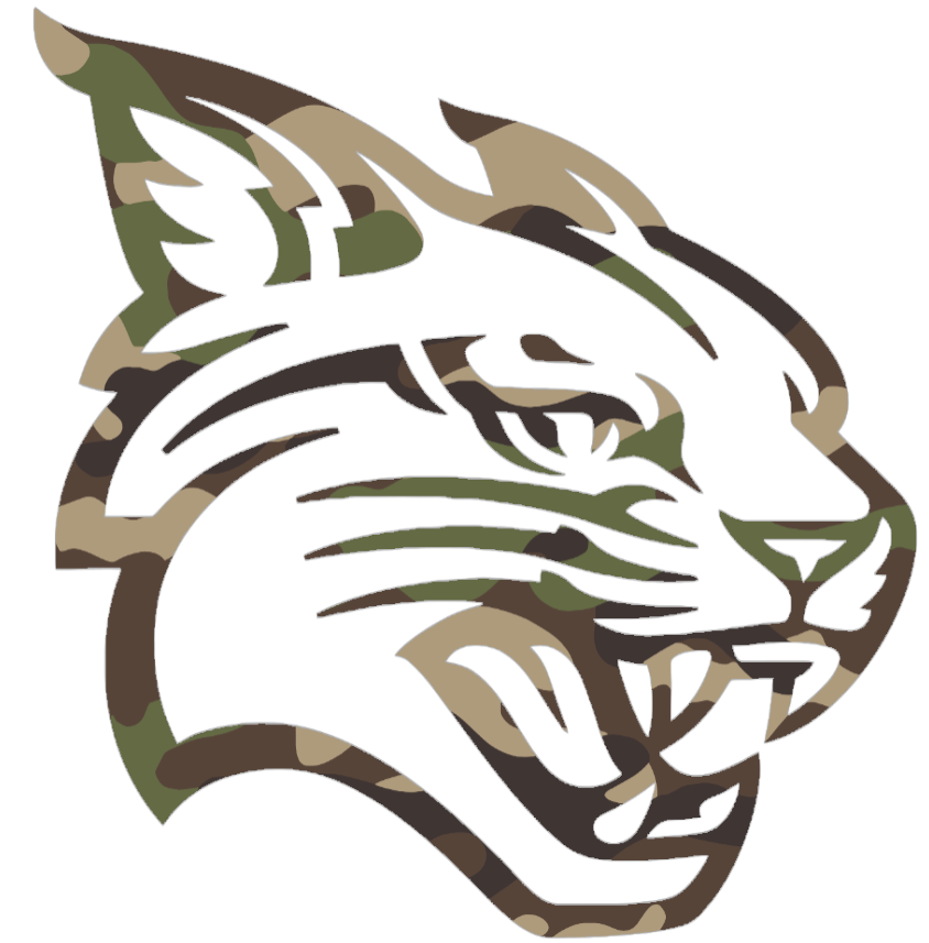 Davidson Wildcats Woodland Camo Camouflage Team Logo Premium DieCut Vinyl Decal PICK SIZE
