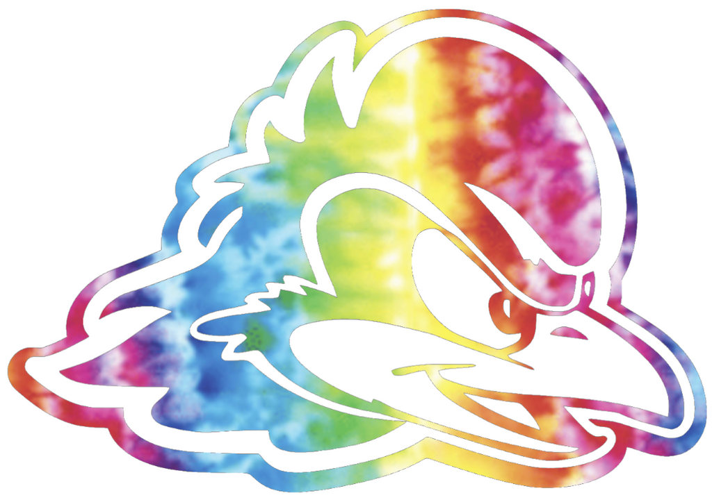 Delaware Blue Hens Team Logo Crucial Catch Cancer Tie Dye Vinyl Decal PICK SIZE