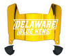 Delaware Blue Hens Mini Football Helmet Visor Shield w/ Clips - PICK VISOR & LOGO COLOR