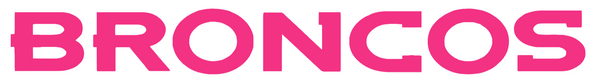 Denver Broncos HOT PINK Team Name Logo Premium DieCut Vinyl Decal PICK SIZE