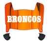 Denver Broncos Retro Throwback Mini Football Helmet Visor Shield w/ Clips - PICK VISOR & LOGO COLOR