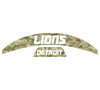 Detroit Lions MIDI Mid Size SpeedFlex Football Helmet Front & Back Bumper Decal Set - Pick Color