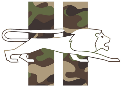 Detroit Lions Woodland Camo Camouflage Retro Throwback Logo Premium DieCut Vinyl Decal PICK SIZE