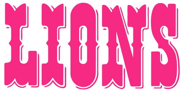 Detroit Lions Hot Pink Retro Throwback Team Name Logo Premium DieCut Vinyl Decal PICK SIZE