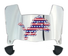 Detroit Lions Limited Edition Mini Football Helmet Visor Shield w/ Clips - PICK VISOR & LOGO COLOR