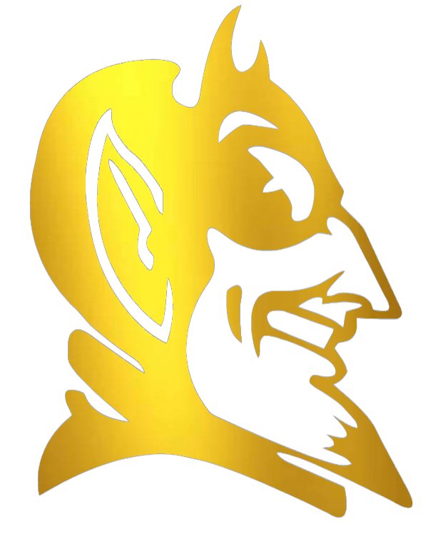 Duke Blue Devils GOLD CHROME MIRROR Mascot Logo Premium DieCut Vinyl Decal PICK SIZE