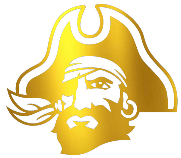 East Carolina Pirates GOLD CHROME MIRROR Alternate Logo Premium DieCut Vinyl Decal PICK SIZE