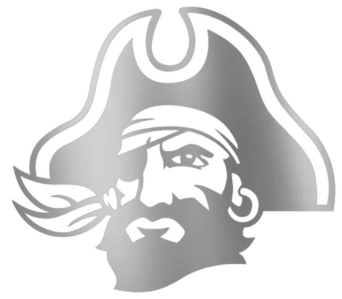 East Carolina Pirates SILVER CHROME MIRROR Alternate Logo Premium DieCut Vinyl Decal PICK SIZE