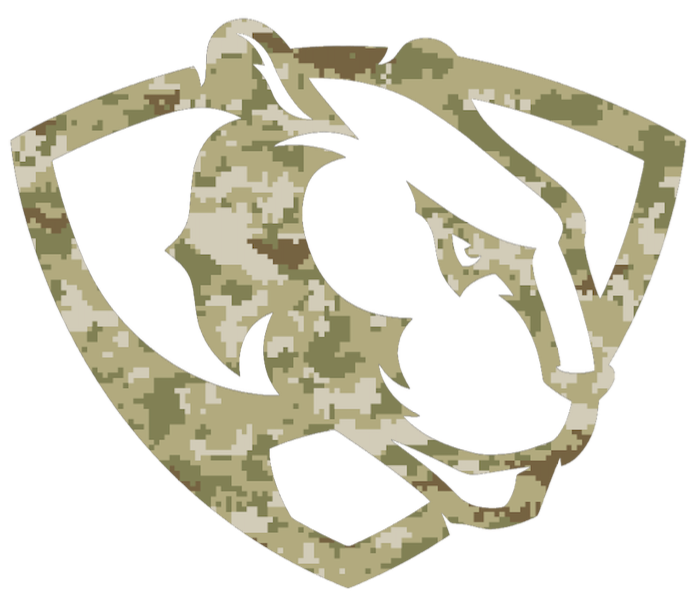 Eastern Illinois Panthers Team Logo Salute to Service Camouflage Camo Vinyl Decal PICK SIZE