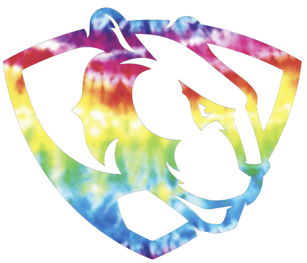 Eastern Illinois Panthers Team Logo Crucial Catch Cancer Tie Dye Vinyl Decal PICK SIZE