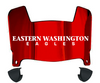 Eastern Washington Eagles Mini Football Helmet Visor Shield w/ Clips - PICK VISOR & LOGO COLOR