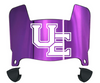 Evansville Purple Aces Mini Football Helmet Visor Shield w/ Clips - PICK VISOR & LOGO COLOR