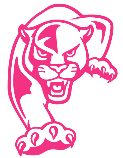FIU Panthers HOT PINK Team Logo Premium DieCut Vinyl Decal PICK SIZE