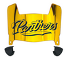 FIU Panthers Mini Football Helmet Visor Shield w/ Clips - PICK VISOR & LOGO COLOR